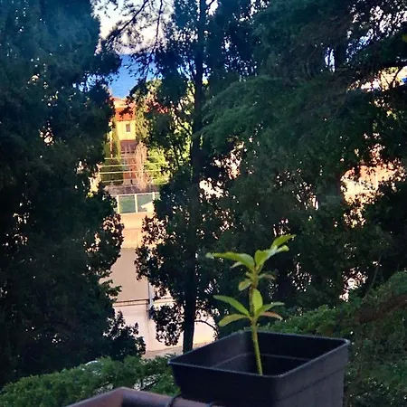Marguerite Apartamento Nice
