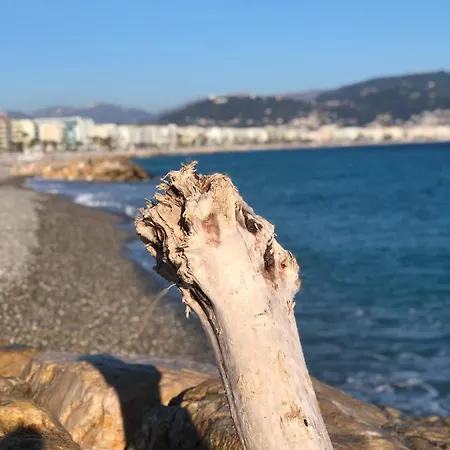 Marguerite アパート *